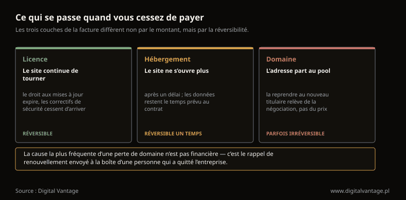 Image on the Digital Vantage website